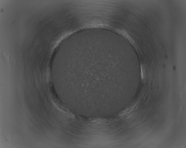 X0000071770579200606301157