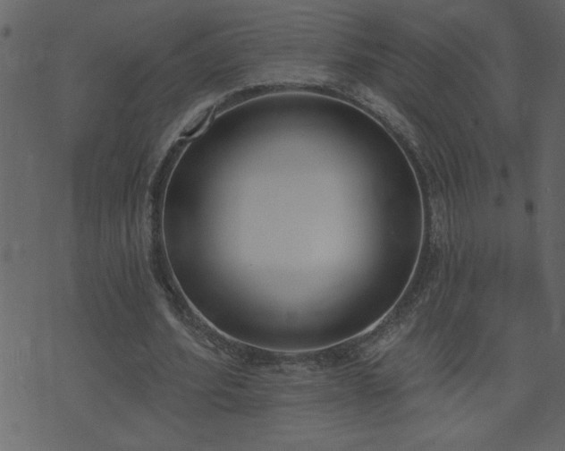 X0000071770580200606301157