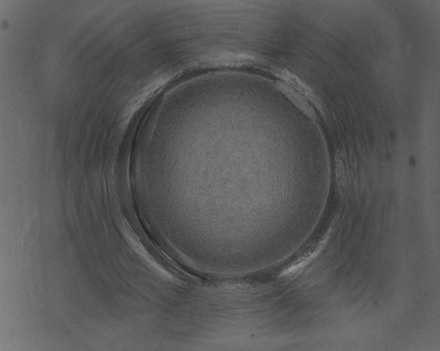 X0000071770581200606301157