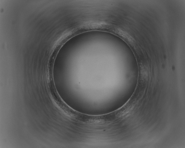 X0000071770582200606301157