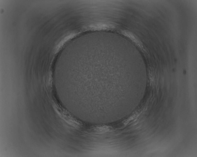 X0000071770583200606301157