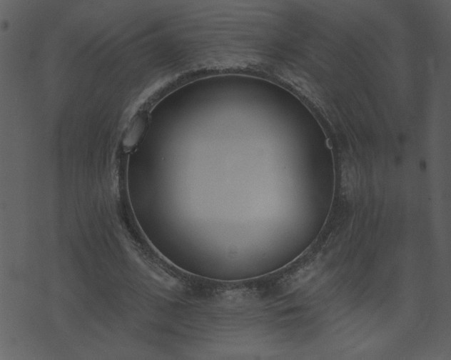 X0000071770584200606301157