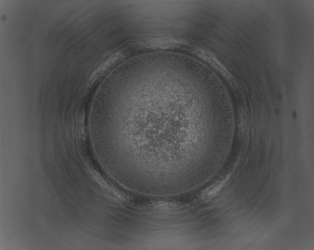 X0000071770585200606301157