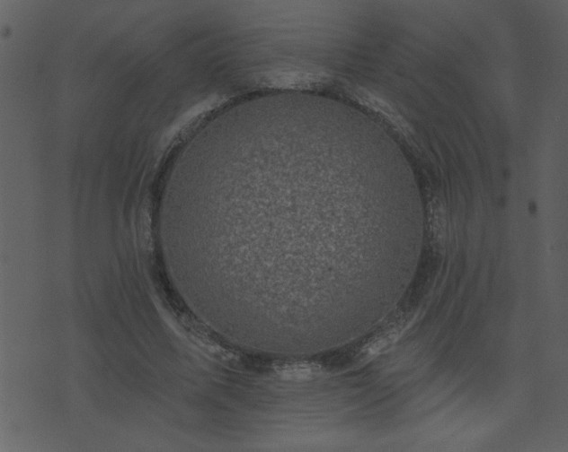 X0000071770587200606301157