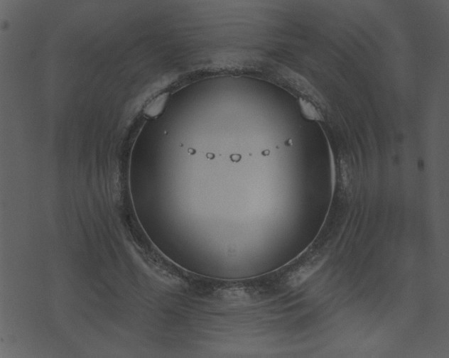 X0000071770588200606301157