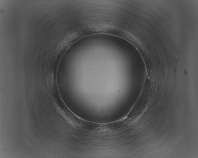 X0000071770589200606301157