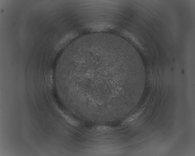 X0000071770590200606301157