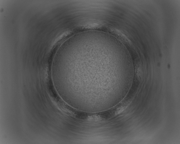 X0000071770591200606301157