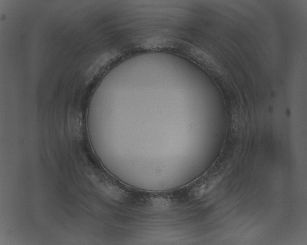 X0000071770592200606301157