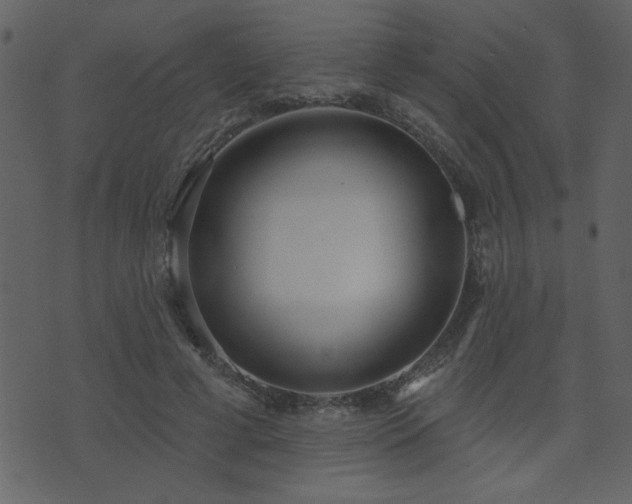 X0000071770593200606301157