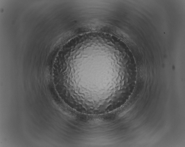 X0000071770594200606301157