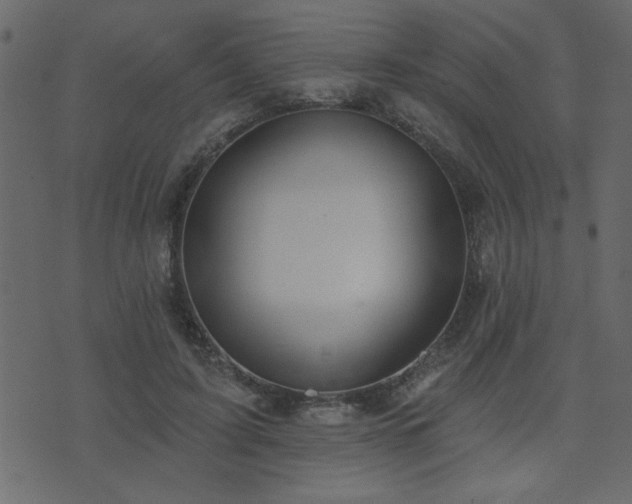 X0000071770595200606301157