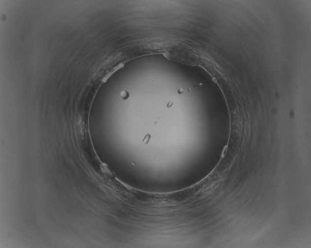 X0000071770597200606301157