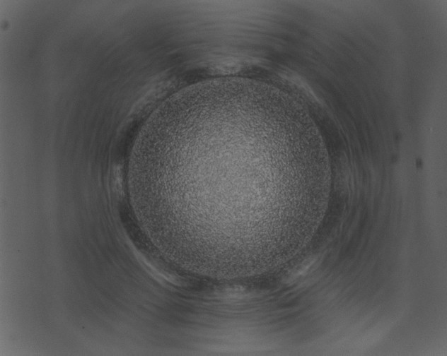 X0000071770598200606301157