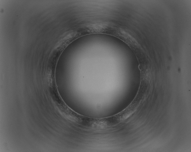 X0000071770599200606301157