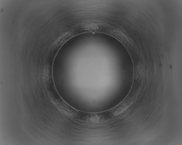 X0000071770600200606301157