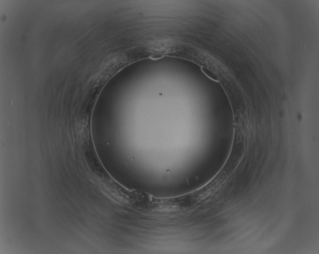 X0000071770601200606301157