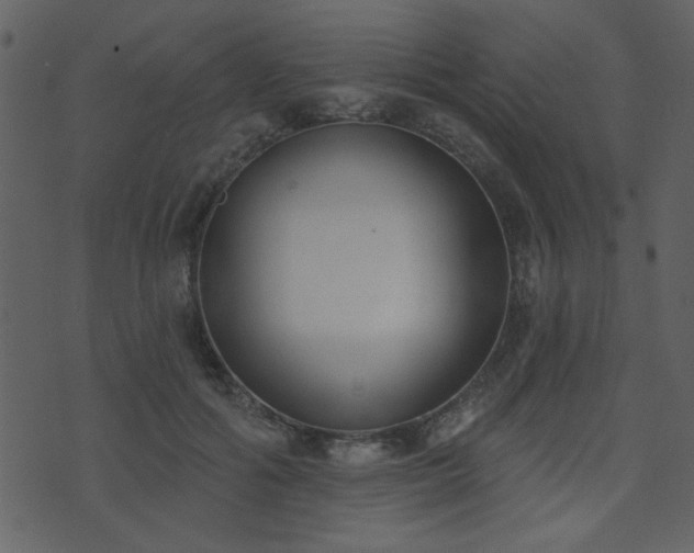 X0000071770602200606301157