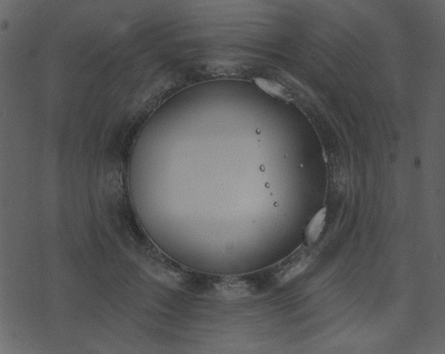 X0000071770603200606301157