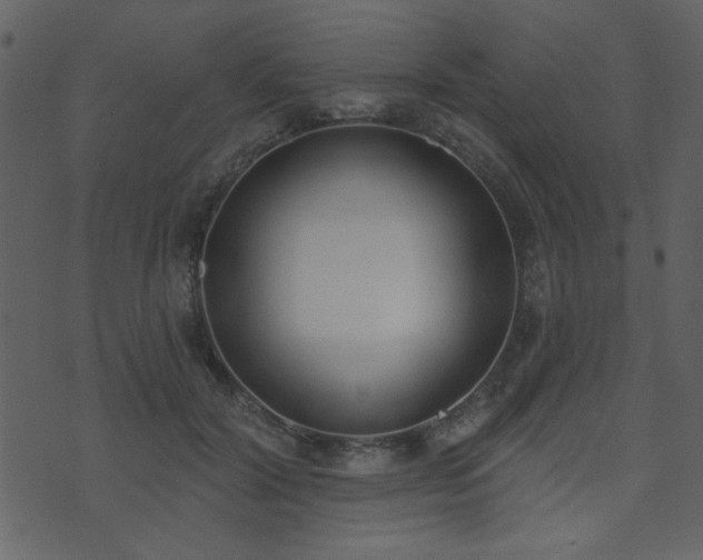 X0000071770604200606301157