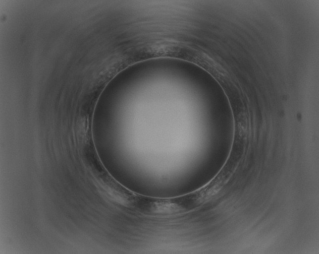 X0000071770605200606301157