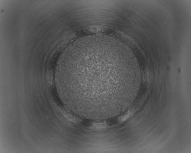 X0000071770606200606301157