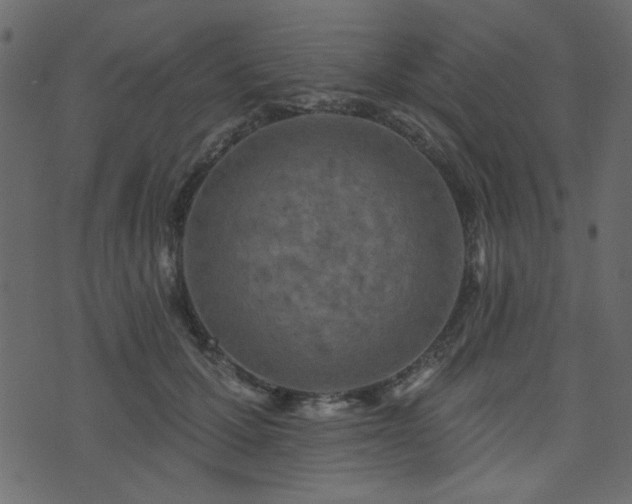 X0000071770607200606301157