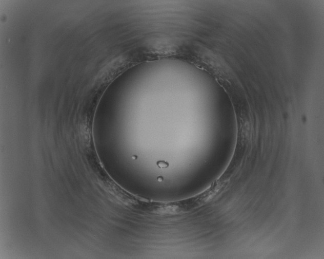 X0000071770609200606301157