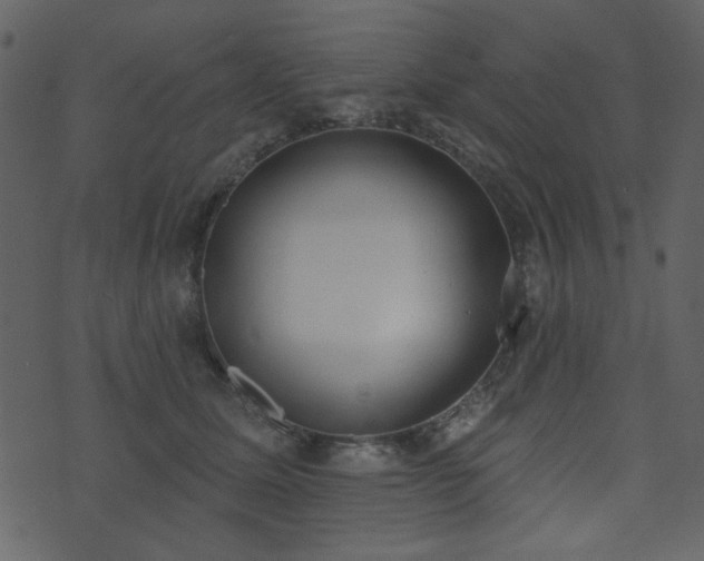 X0000071770611200606301157