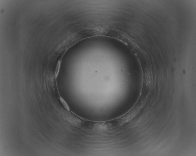 X0000071770613200606301157