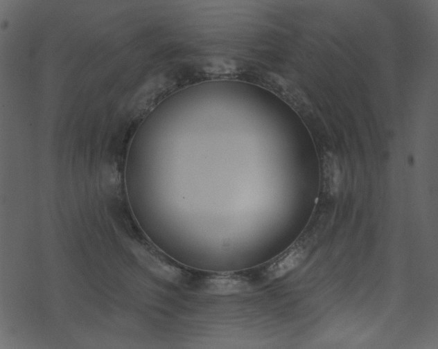 X0000071770614200606301157