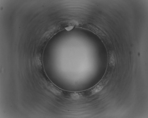 X0000071770616200606301157