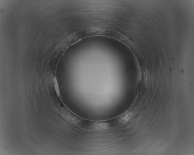 X0000071770617200606301157