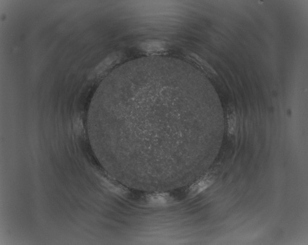 X0000071770618200606301157