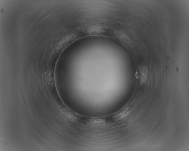 X0000071770619200606301157