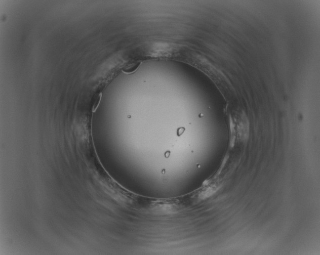 X0000071770620200606301157