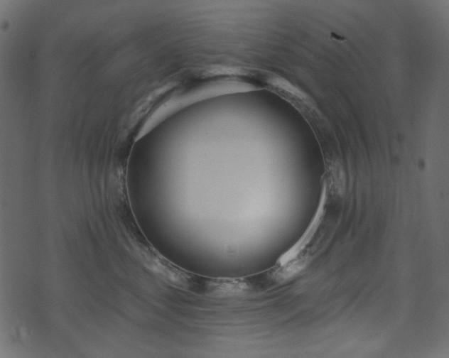 X0000071770621200606301157