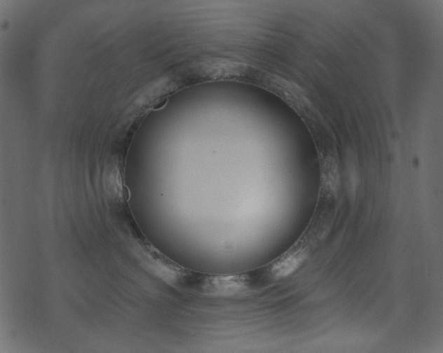 X0000071770622200606301157