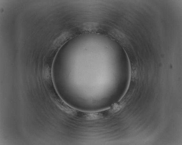 X0000071770623200606301157