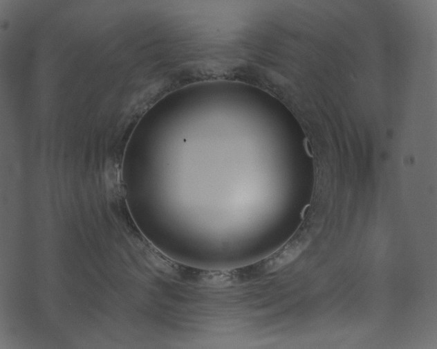 X0000071770624200606301157