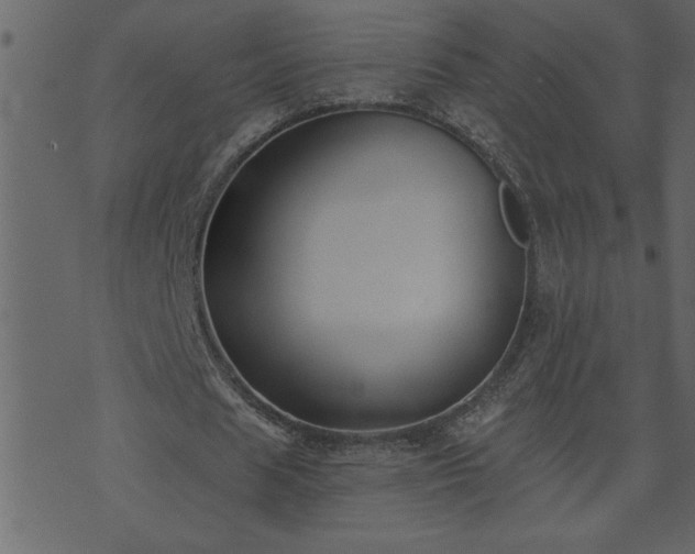 X0000071770625200606301156