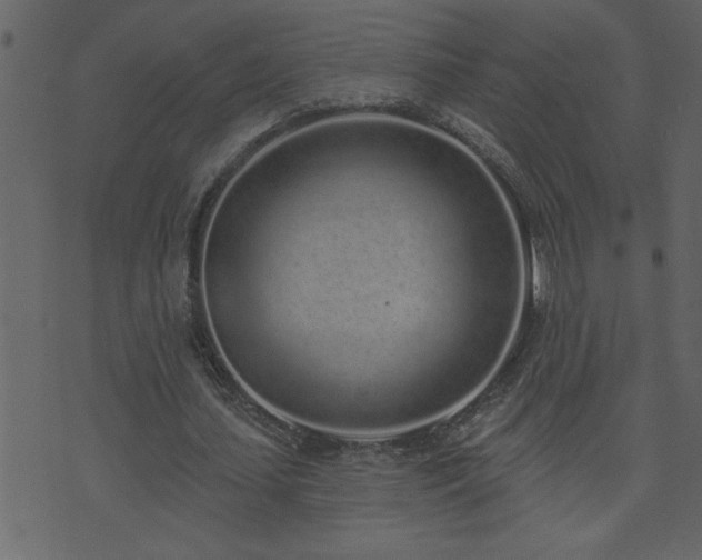 X0000071770627200606301156