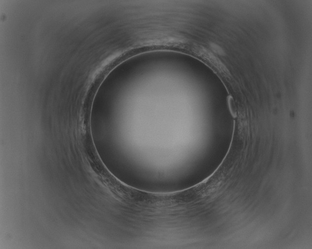 X0000071770628200606301156