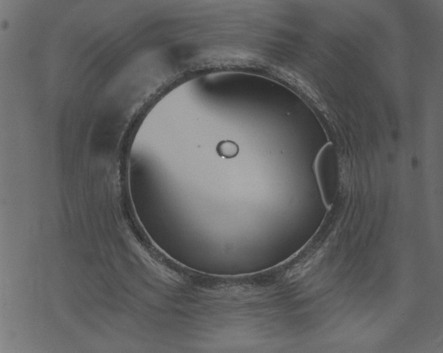 X0000071770629200606301156