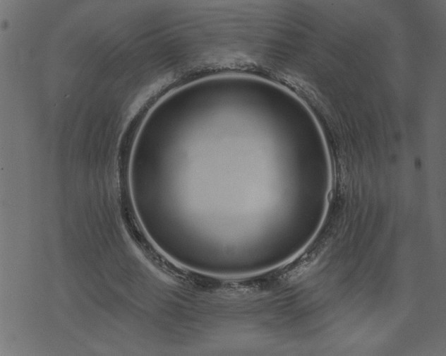 X0000071770630200606301156