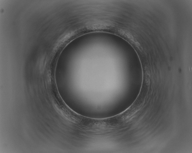 X0000071770631200606301156