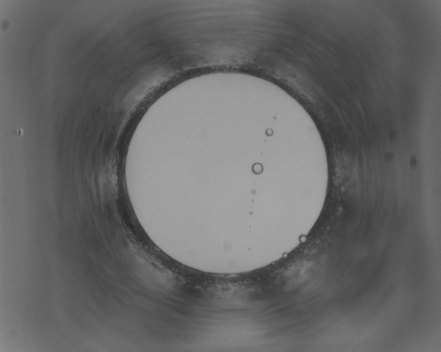 X0000071770632200606301156