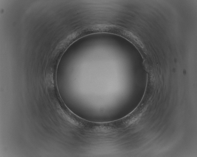 X0000071770633200606301156