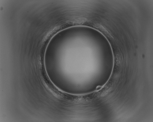 X0000071770634200606301156