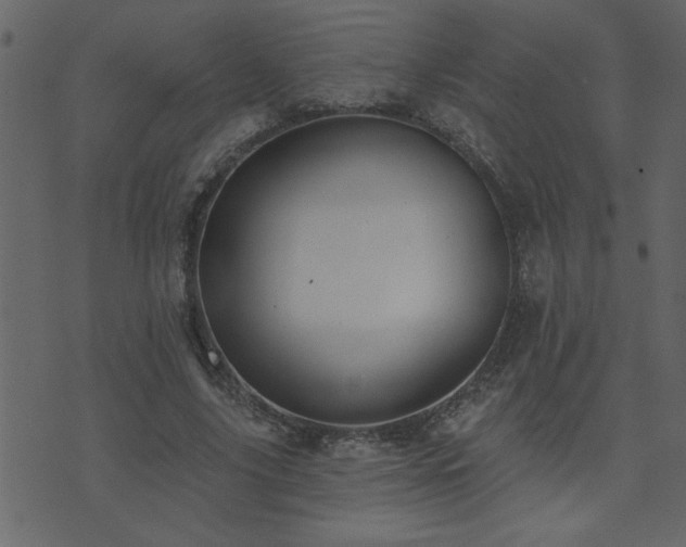 X0000071770635200606301156